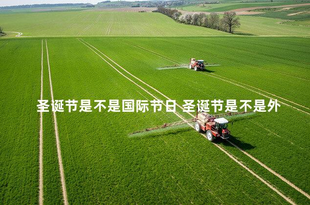 圣诞节是不是国际节日 圣诞节是不是外国的节日